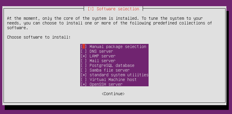 Ubuntu Server software selection screenshot